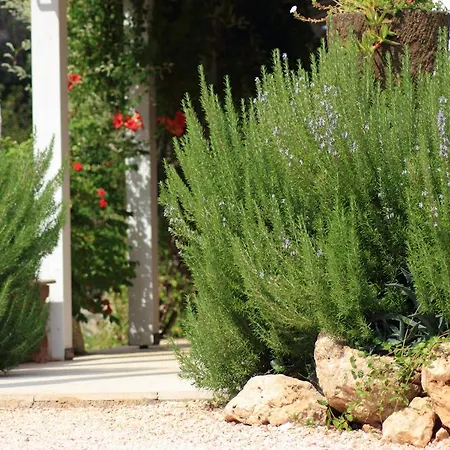 Ferienhaus Holiday Stancija Srem Belej